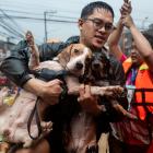 A man carrying his dogs gets off a boat along a flooded road in Marikina City, Philippines....