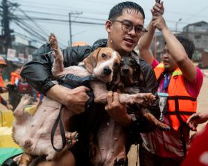 A man carrying his dogs gets off a boat along a flooded road in Marikina City, Philippines....