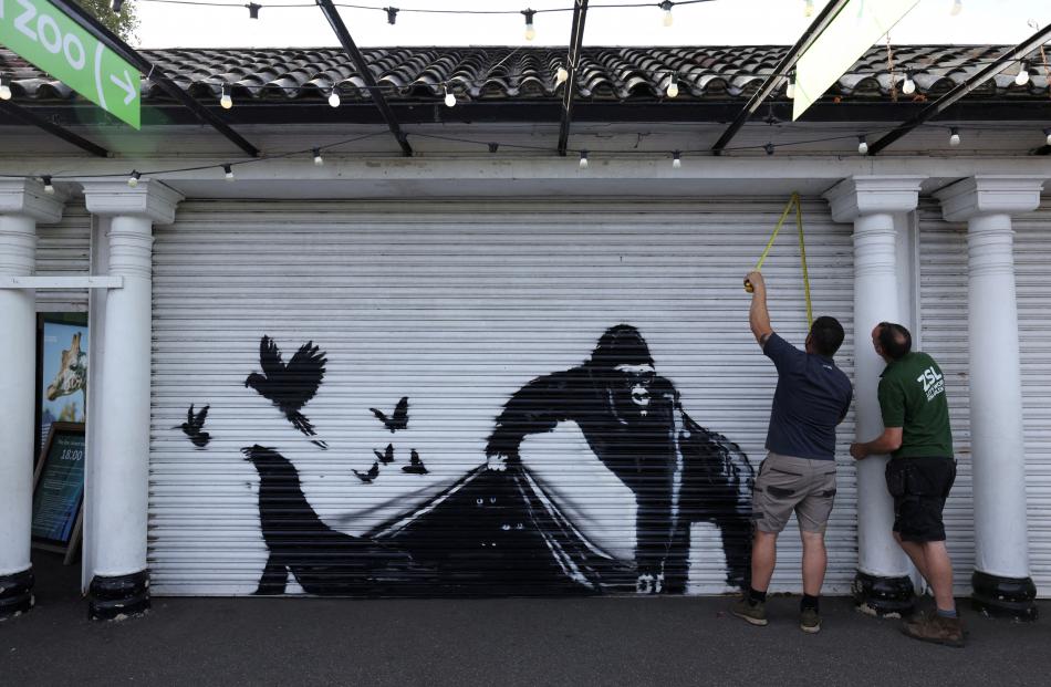 Workers measure a new Banksy artwork at the London Zoo.