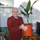 David Fynmore  with his aspidistra, which has been in his family for 150 years. PHOTOS: SUPPLIED