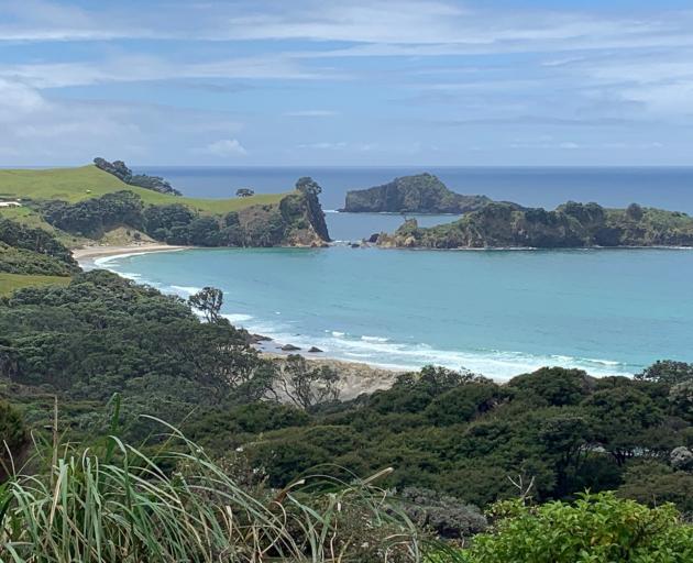 Picturesque islands off the Barrier's east coast.