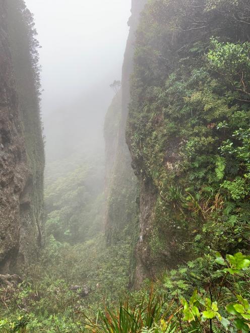 Windy Canyon’s vertical sides are spectacular, with mist on some days adding to the atmosphere.