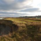 The coastal fringe of the subdivision site at the end of Caledonian Rd, looking south to Oamaru....