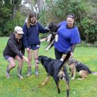 Furever Homes is reaching out to dogs’ best friends in Clutha with the help of (from left) Brodie...