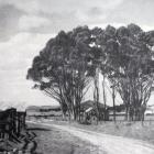 The main north road from Dunedin passes near Karitane. — Otago Witness, 1.7.1924 
