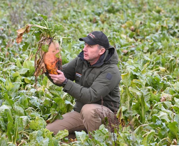 Beet that ... David Eckhoff’s role is all about helping farmers grow. PHOTO: LINDA ROBERTSON

