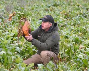 David Eckhoff’s role is all about helping farmers grow. PHOTO: LINDA ROBERTSON

