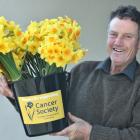 Gore resident David Christie holds a bucket of flowers during Daffodil Day in Dunedin yesterday....