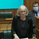 Jacqui Dean, usually in the Speaker’s chair, takes a rare call in the debating chamber. Photo:...