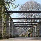 The main path through the lower Dunedin Botanic Garden. PHOTO: GERARD O'BRIEN