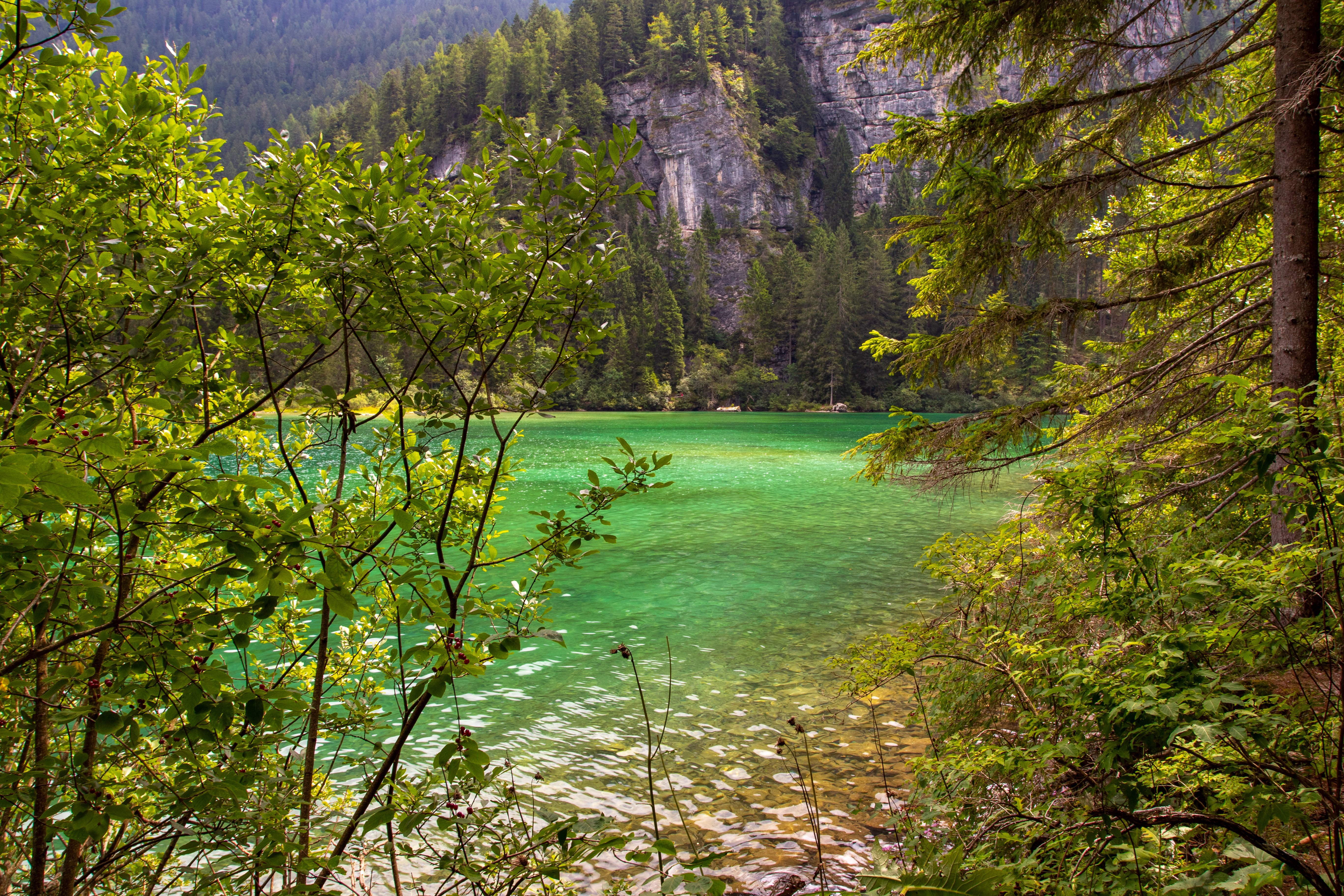 Val di Non, landscape of Lake Tovel, Adamello-Brenta Natural Park, Italy.