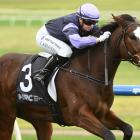 Jaylah Kennedy rides La Casona to victory at Sandown last month. PHOTO: GETTY IMAGES