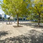 Strategic placement of urban trees for shade can reduce surface temperatures by 20-30°C. PHOTO:...