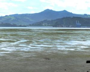 The mudflats of Harwood. Photo: ODT files 