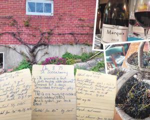 Clockwise from top left: Grapes grow again the west-facing brick garage wall. A bottle of Marquis...