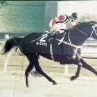 Horlicks wins the 1989 Japan Cup for David O’Sullivan, ridden by son Lance. Photo: RNZ