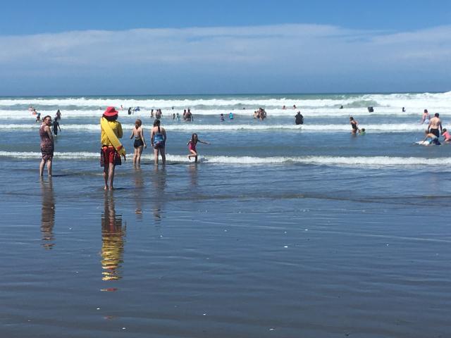 Paid life guards patrol the Waikuku, Pegasus and Woodend beaches during December and January....