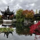 Lan Yuan Dunedin Chinese Gardens. Vibrant Autumn display on a grey sky day.