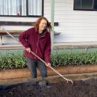 Waikawa gardener Judy-diane tends to her garden, where she hosts free gardening workshops. PHOTO:...