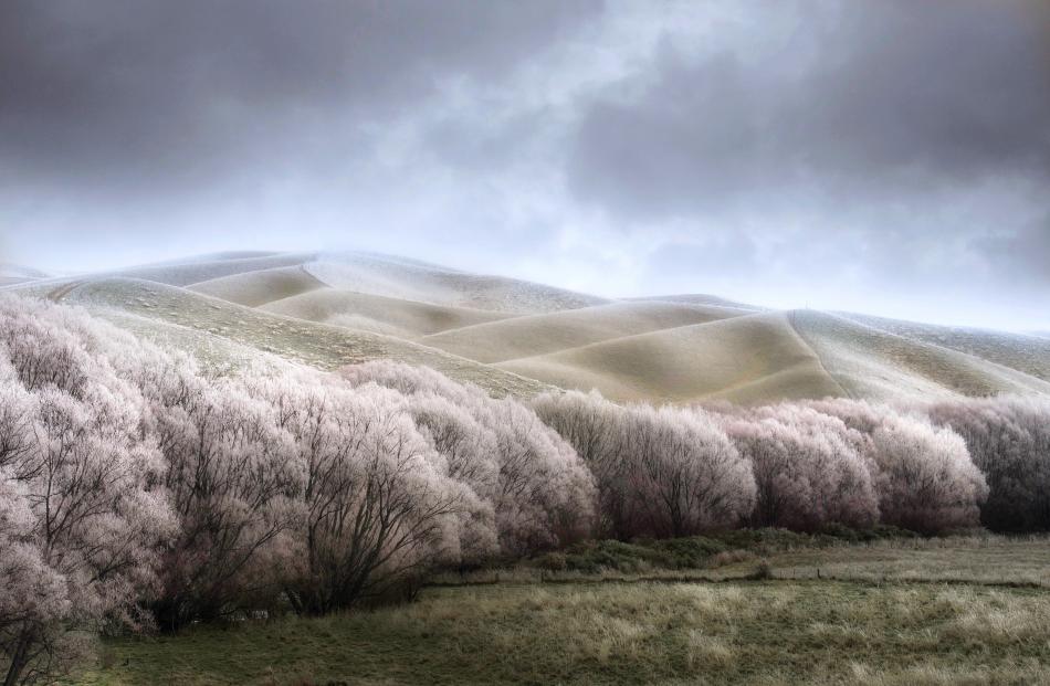 Landscape all ages, Hoar frost. PHOTO: JOHN WHITAKER 