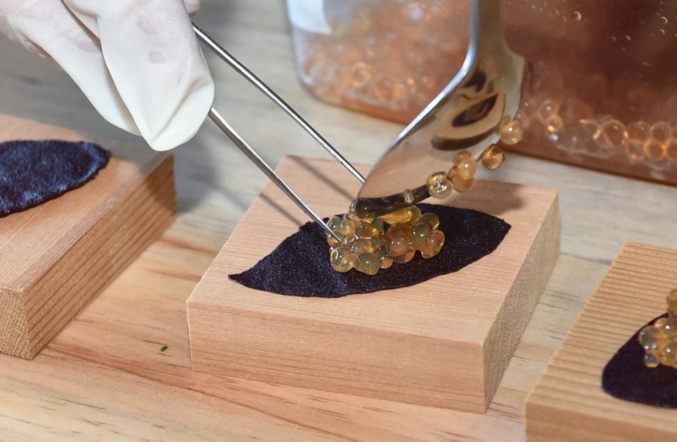 Rosehip spheres served on fruit leather