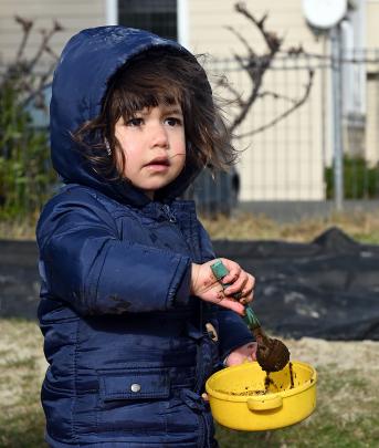 Kamaia Shaw, 2, whips up a mud cake. PHOTOS: LINDA ROBERTSON