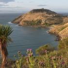 Otago Peninsula. Photo: NHK