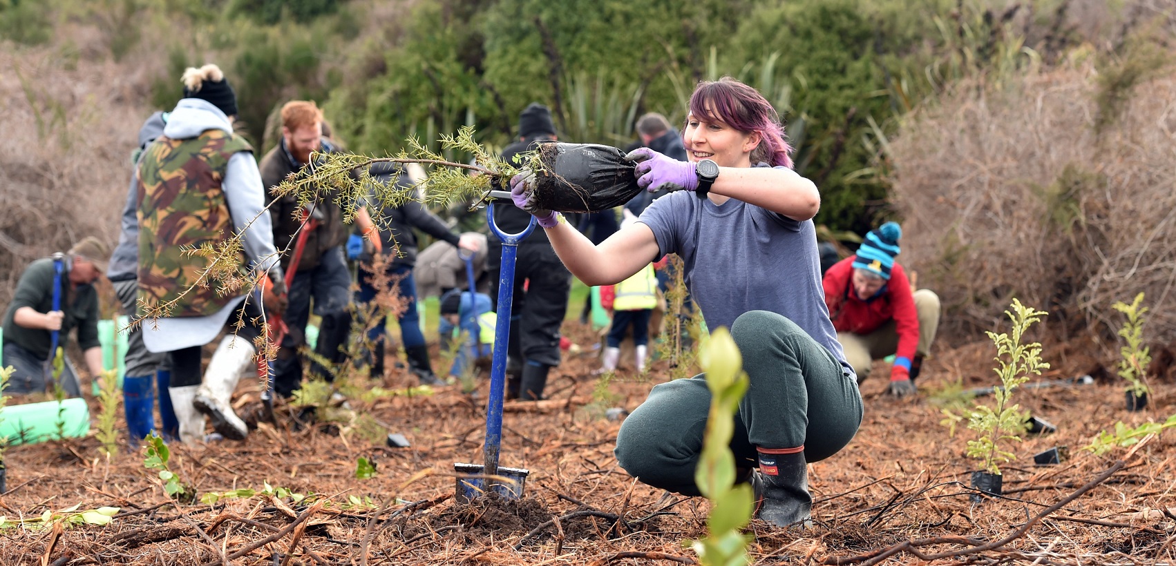 Chantal Whitby plants a totara at Sinclair Wetlands. Photo: Peter McIntosh