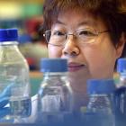 University of Otago’s Prof Ping Liu has been researching ways to detect and treat children whose...