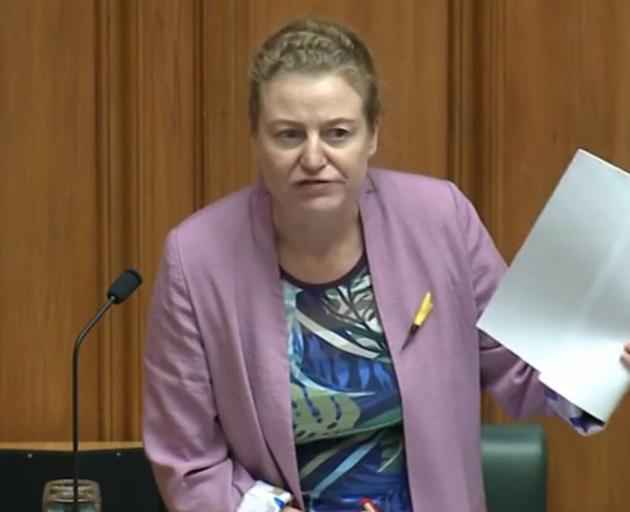 Dunedin Labour MP Rachel Brooking let out all her frustrations when addressing Parliament about...