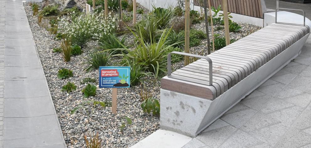 A rain garden in George St, Dunedin. PHOTO: LINDA ROBERTSON