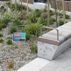 A rain garden in George St, Dunedin. PHOTO: LINDA ROBERTSON