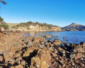 Rocky shore outside the Portobello Marine Laboratory, Marine Science Department, University of...