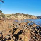 Rocky shore outside the Portobello Marine Laboratory, Marine Science Department, University of...