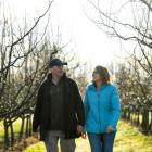 Cromwell orchardists Simon and Trudi Webb have expanded their family orchard from 15ha to 60ha...