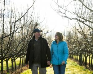 Cromwell orchardists Simon and Trudi Webb have expanded their family orchard from 15ha to 60ha...