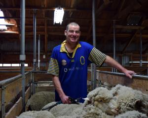 Peter Lyon Shearing ganger Jimmy Clark, of Alexandra. PHOTO: SHAWN MCAVINUE