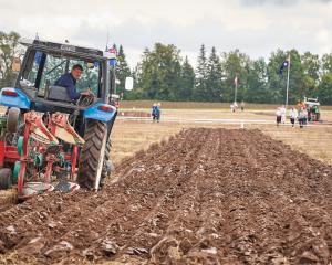 Bob Mehrtens, of Timaru, competes in the reversible class at the World Ploughing Contest. PHOTOS:...