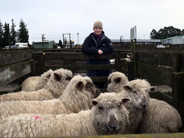 Ngaire Buchan and her last-season lambs at Waiareka Saleyards near Oamaru last week. PHOTOS:...