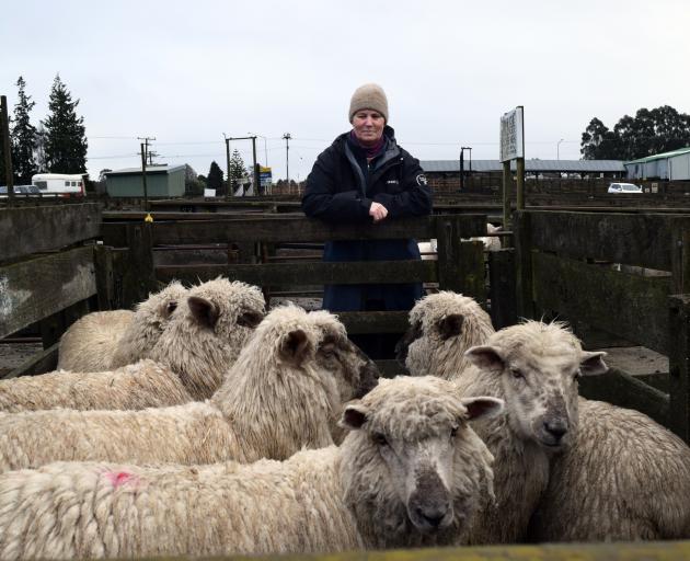 Ngaire Buchan and her last-season lambs at Waiareka Saleyards near Oamaru last week. PHOTOS:...