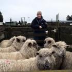 Ngaire Buchan and her last-season lambs at Waiareka Saleyards near Oamaru last week. PHOTOS:...