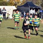 Pirates Buccaneers player Harry Wingfield (9) runs the ball during a game against the Green...