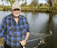 Graham Livingstone whitebaiting at Kerrs Reach on the Avon River. Photo: Geoff Sloan
