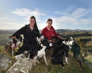 Keeping it in the family ... Laura (left) and Megan Whyte work together on their family’s farm in...