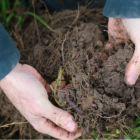 Caring for soil health is a key part of Mark Anderson's approach to farming. Photo: Cosmo Kentish...